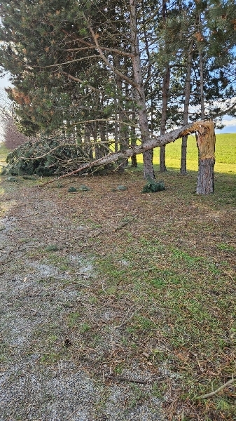 Technischer Einsatz Technischer Einsatz